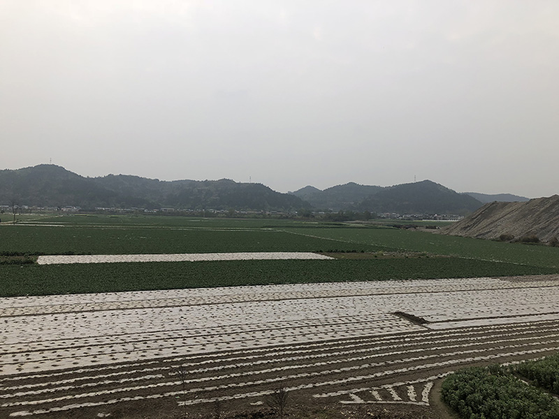 市、縣領(lǐng)導(dǎo)現(xiàn)場(chǎng)調(diào)研天馬50萬(wàn)噸玻瓶項(xiàng)目(圖7) 市、縣領(lǐng)導(dǎo)現(xiàn)場(chǎng)調(diào)研天馬50萬(wàn)噸玻瓶項(xiàng)目(圖7)